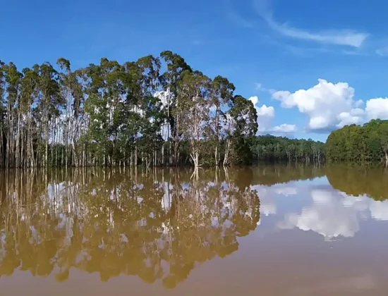 Suaka Margasatwa Danau Bian, Munting, Merauke