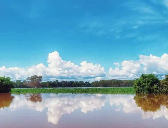 Suaka Margasatwa Danau Bian, Munting, Merauke