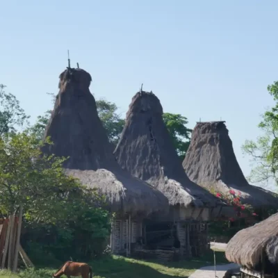 Kampung Adat Waru Wora