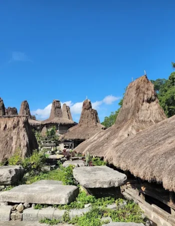 Kampung Tarung: Desa Adat Megalitik dan Pusat Kepercayaan Marapu