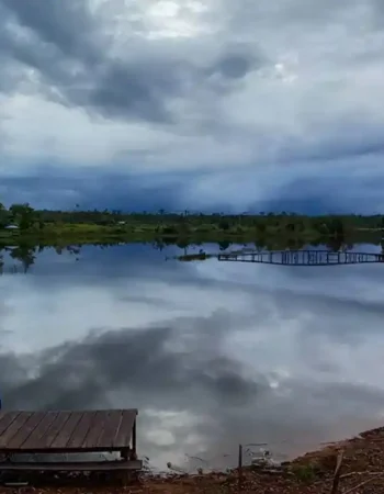 Rawa Cinta Kampung Nggayu Ulilin Merauke