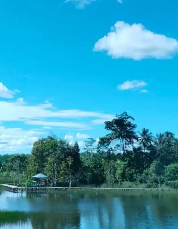 Rawa Cinta Kampung Nggayu Ulilin Merauke