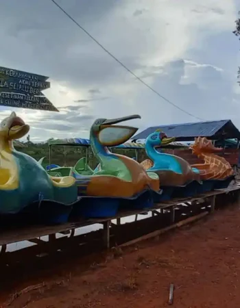Rawa Cinta Kampung Nggayu Ulilin Merauke