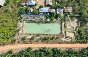 Budidaya Ikan Sumber Makmur